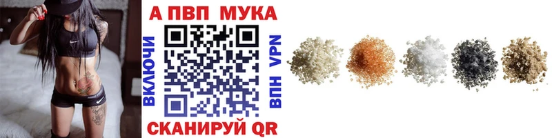 A PVP СК КРИС  Сыктывкар 