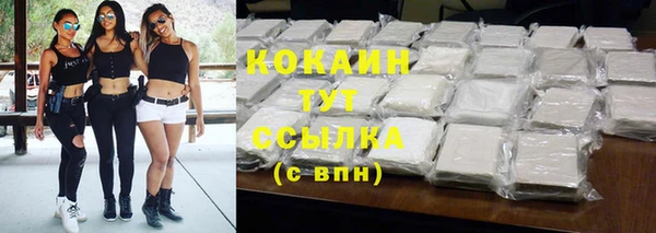 спиды Горняк