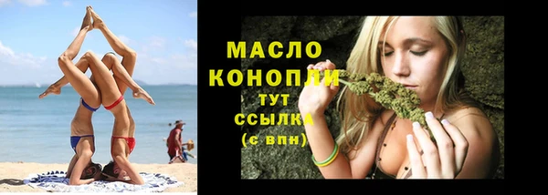 спиды Горняк