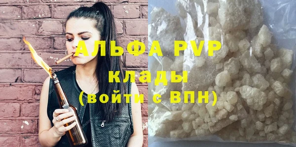 спиды Горняк