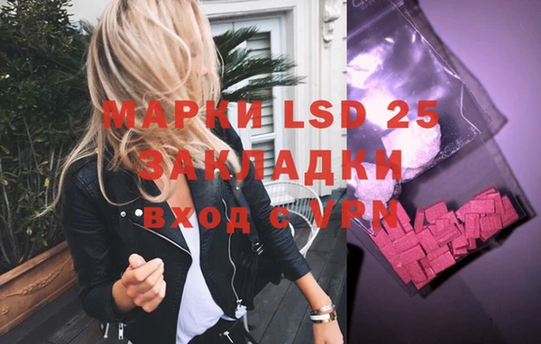 спиды Горняк