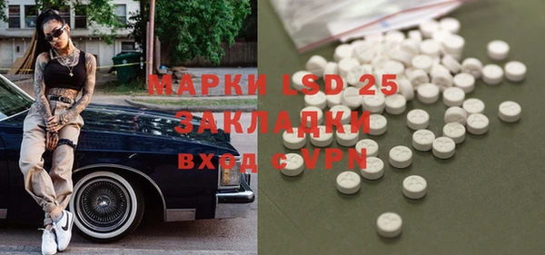спиды Горняк